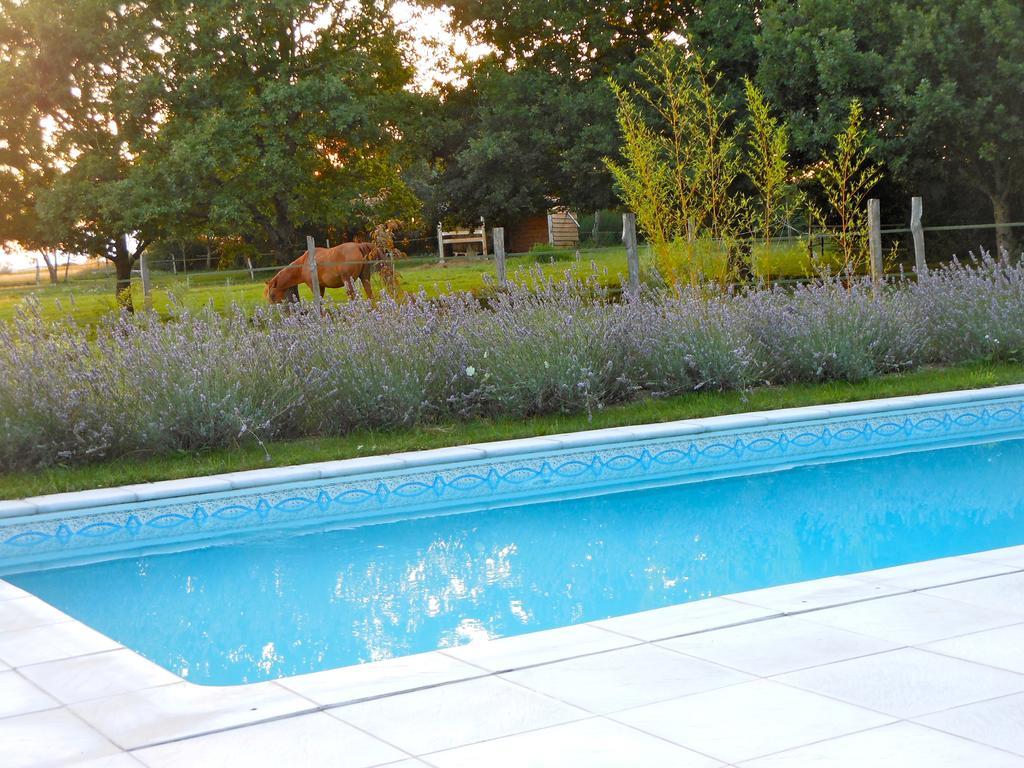 Auberge de la Tuilerie Surgy Exteriér fotografie