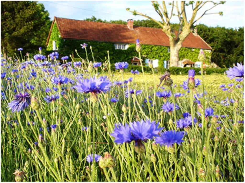 Auberge de la Tuilerie Surgy Exteriér fotografie